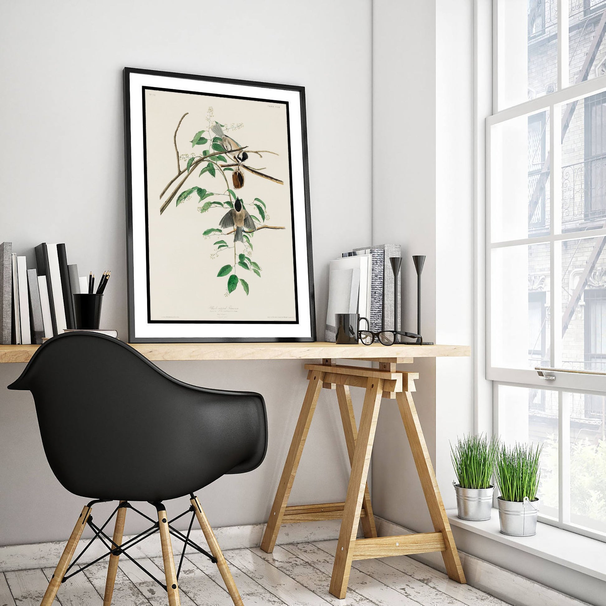 Black-capped Chickadee Art Print - John James Audubon Poster - Birds of America Vintage Illustration