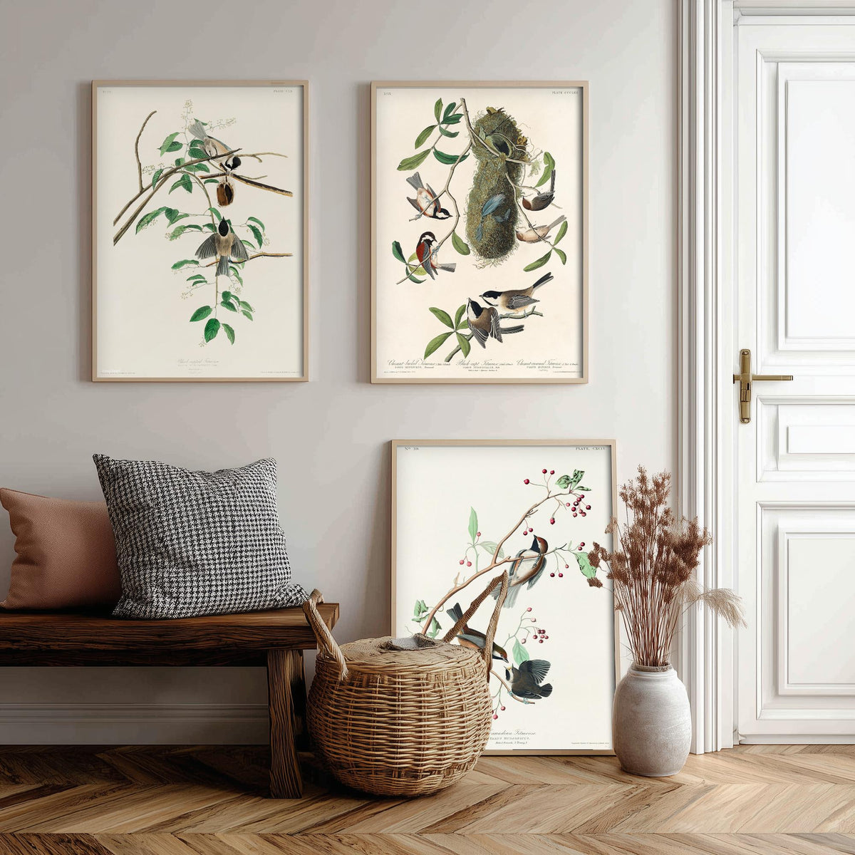 Set of Three John James Audubon Prints - Black-capped Chestnut-backed and Canadian Titmouse - 3 Bird Paintings Poster Wall Art