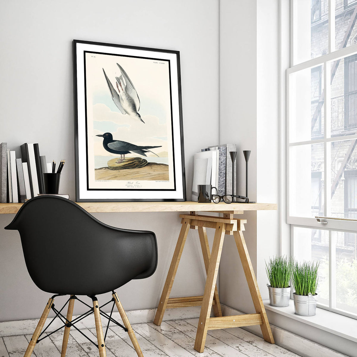 Black Tern Art Print - John James Audubon Poster - Birds of America Vintage Illustration