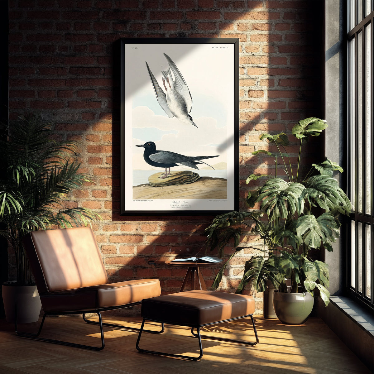 Black Tern Art Print - John James Audubon Poster - Birds of America Vintage Illustration