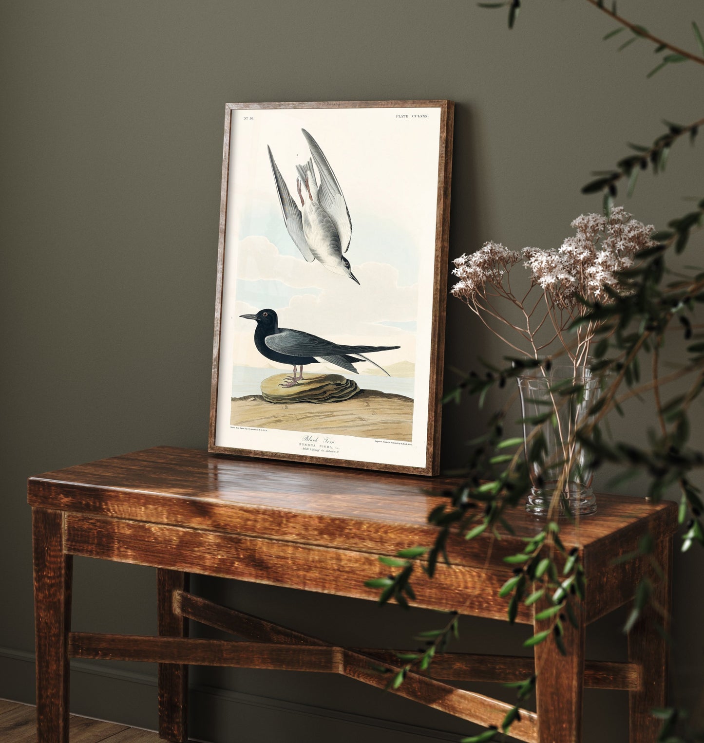 Black Tern Art Print - John James Audubon Poster - Birds of America Vintage Illustration