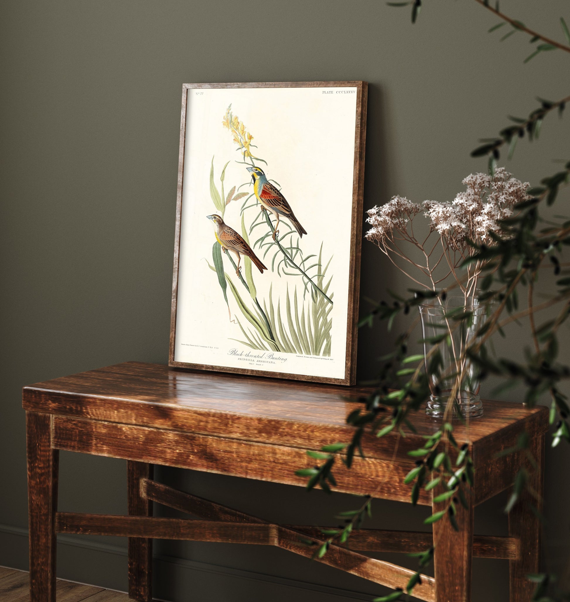 Dickcissel Art Print - John James Audubon Poster - Birds of America Vintage Illustration