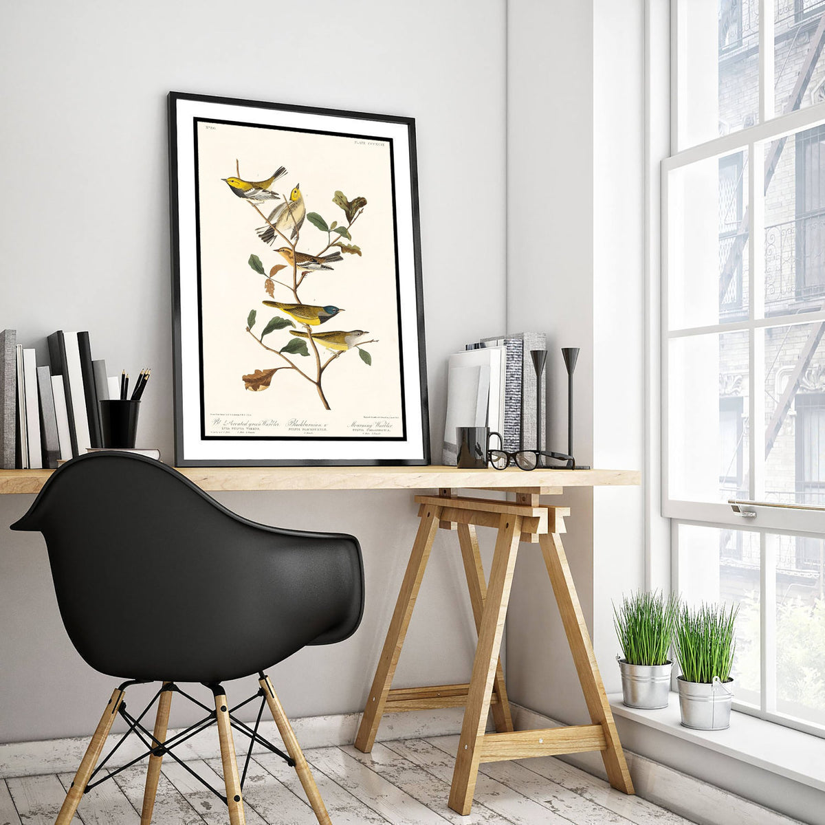 Black-throated Green Warbler Art Print - John James Audubon Poster - Birds of America Vintage Illustration