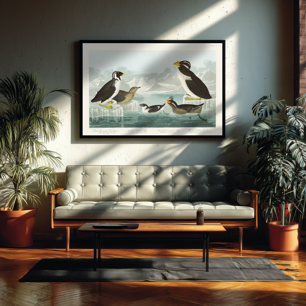 Ancient Murrelet Art Print - John James Audubon Poster - Birds of America Vintage Illustration