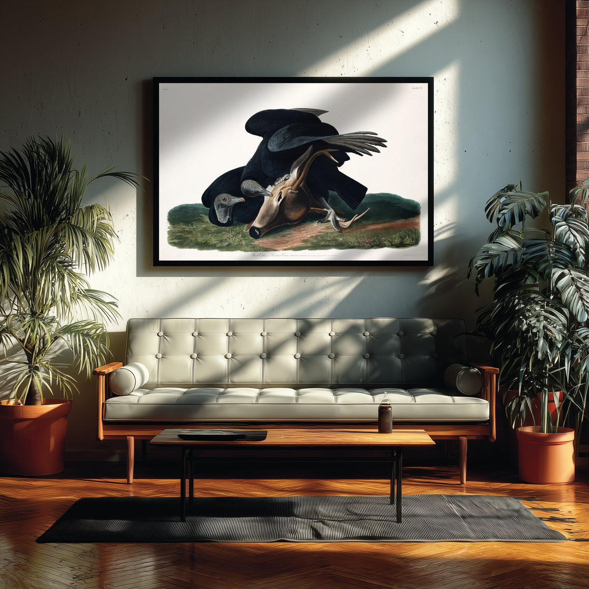Black Vulture Art Print - John James Audubon Poster - Birds of America Vintage Illustration