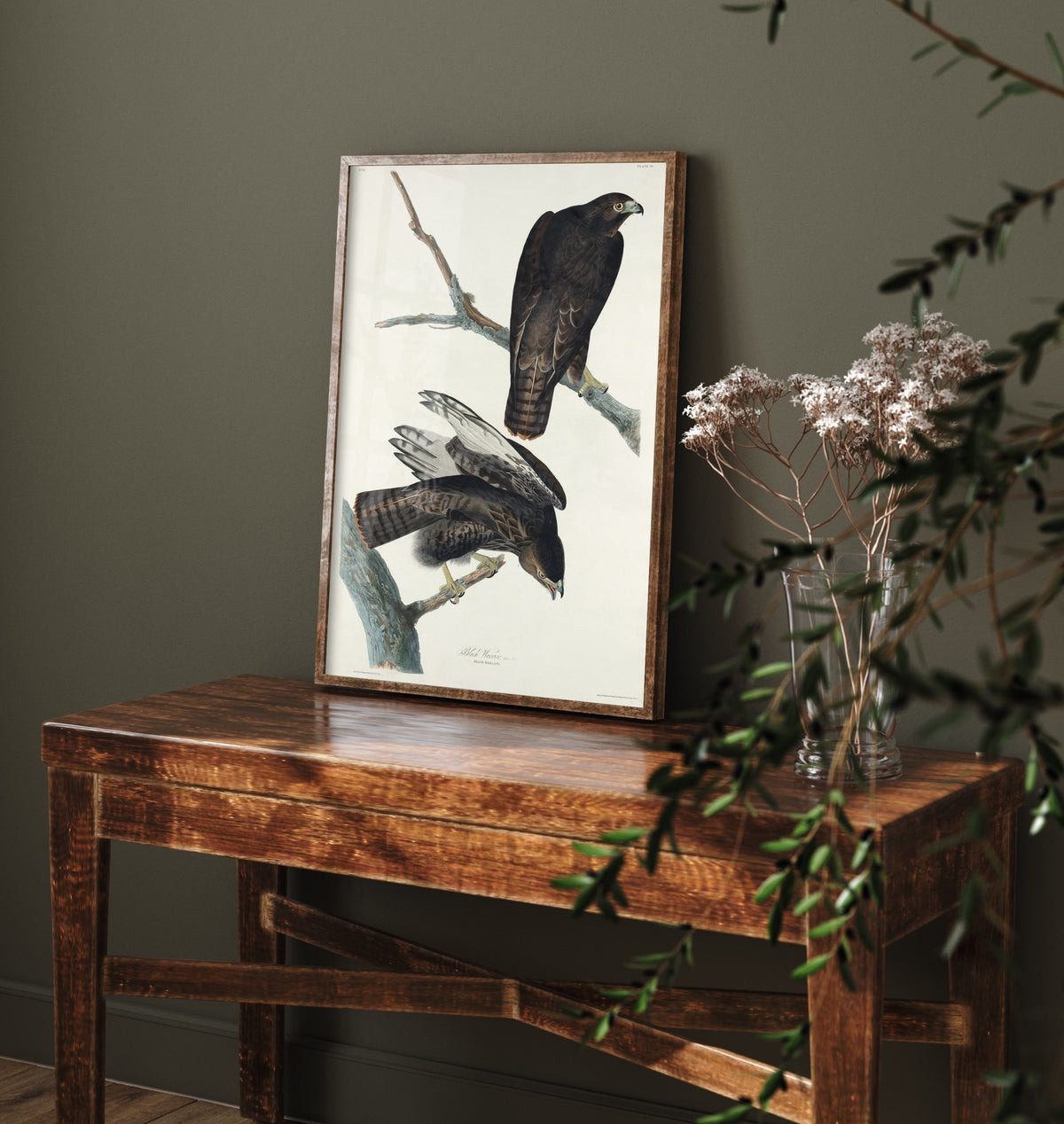 Harlan's Hawk Art Print - John James Audubon Poster - Birds of America Vintage Illustration
