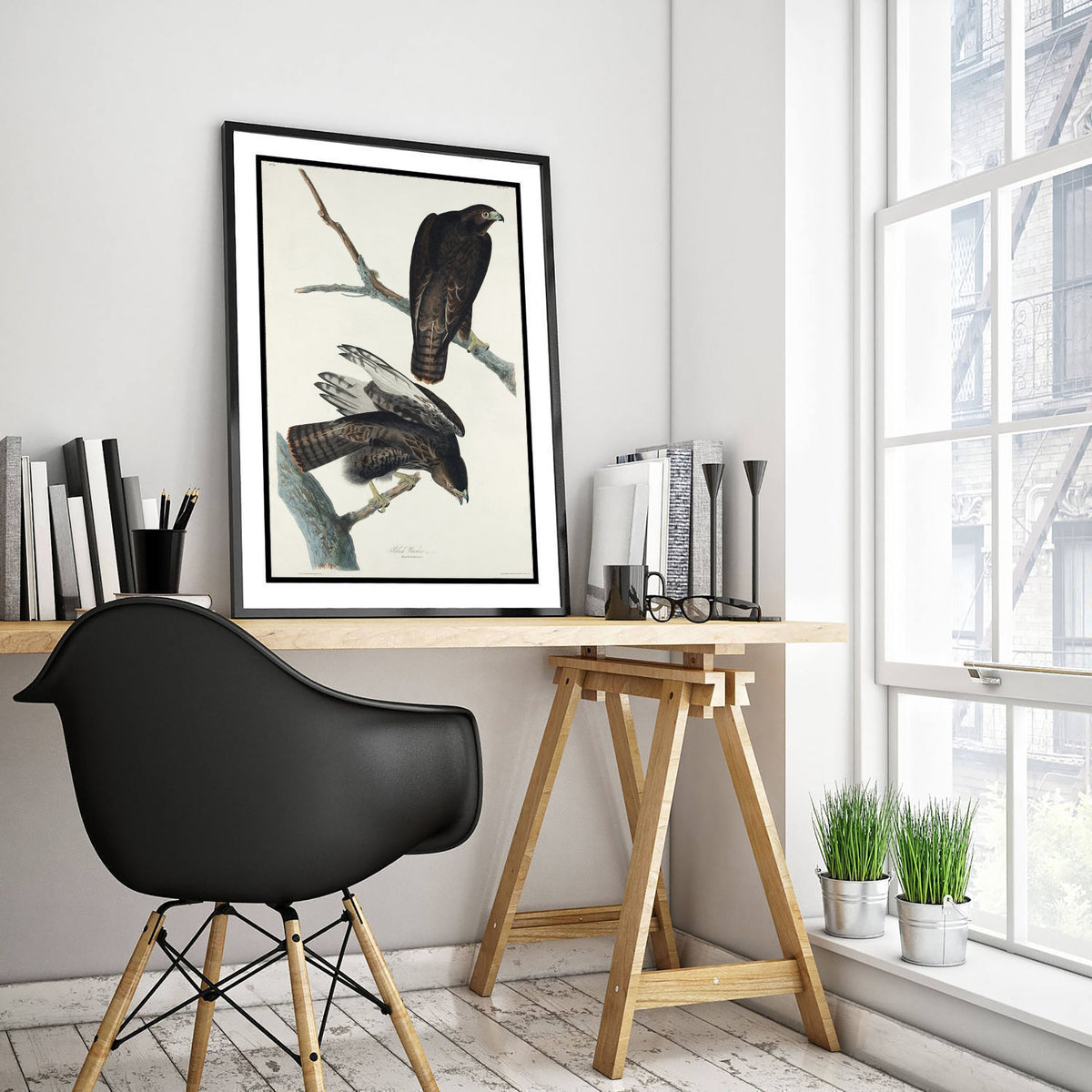 Harlan's Hawk Art Print - John James Audubon Poster - Birds of America Vintage Illustration