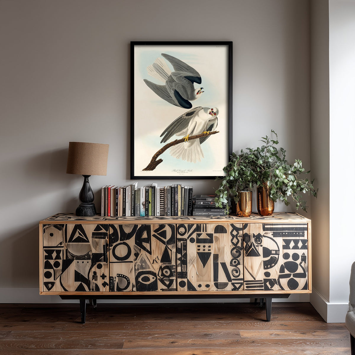 White-tailed Kite Art Print - John James Audubon Poster - Birds of America Vintage Illustration