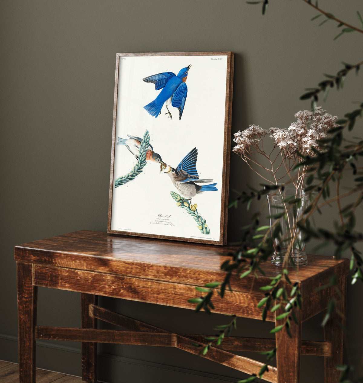 Eastern Bluebird Art Print - John James Audubon Poster - Birds of America Vintage Illustration