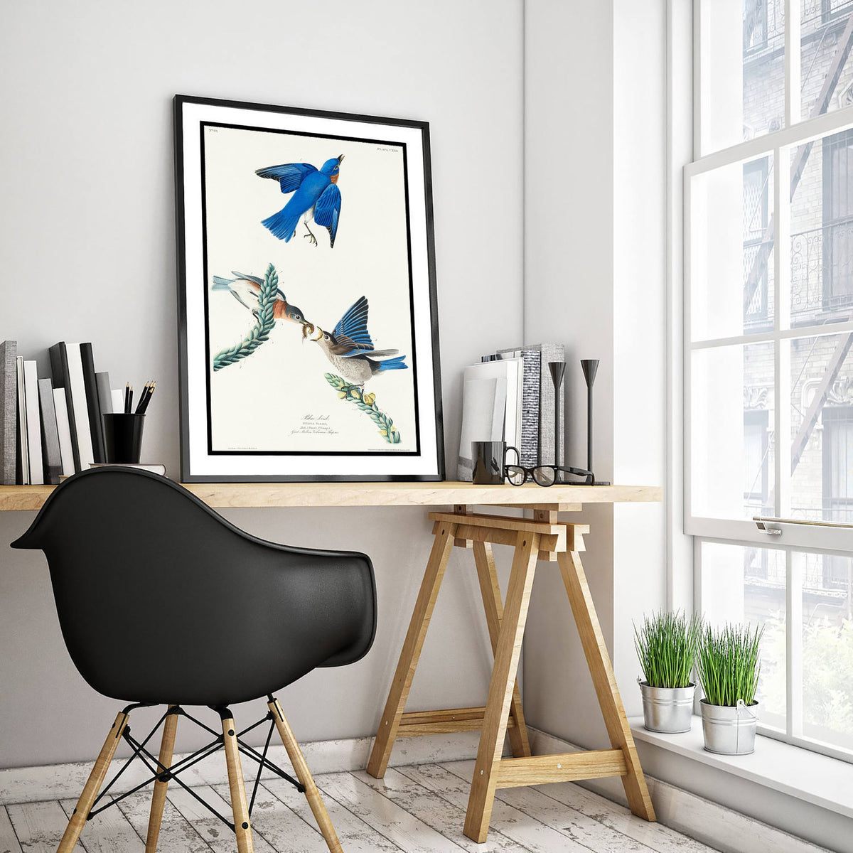 Eastern Bluebird Art Print - John James Audubon Poster - Birds of America Vintage Illustration