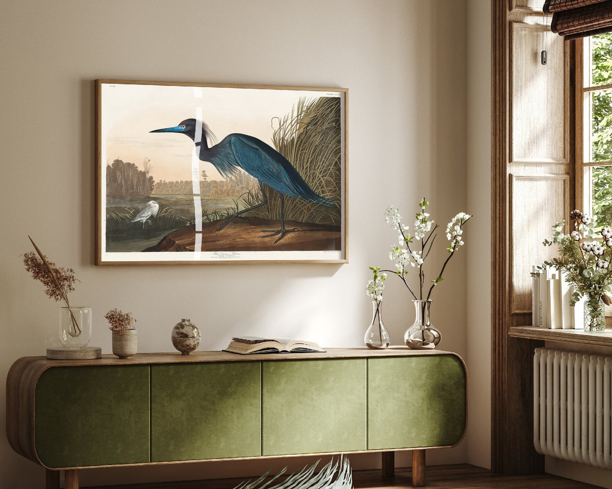 Little Blue Heron Art Print - John James Audubon Poster - Birds of America Vintage Illustration