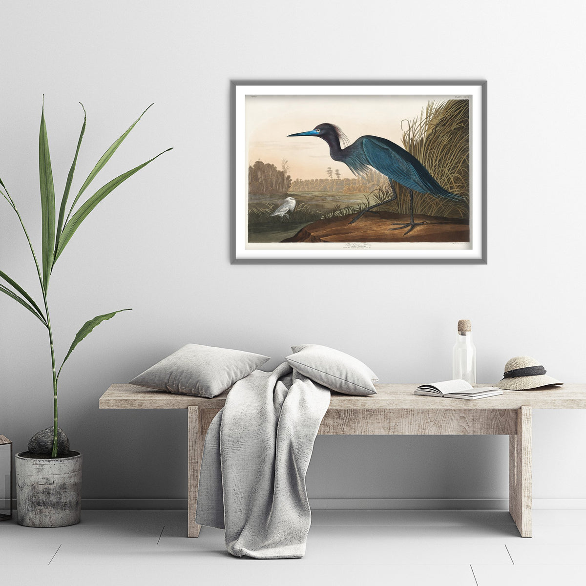 Little Blue Heron Art Print - John James Audubon Poster - Birds of America Vintage Illustration