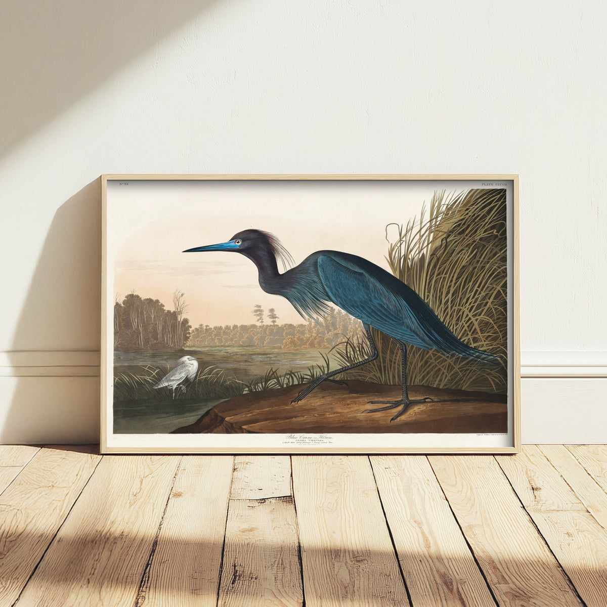 Little Blue Heron Art Print - John James Audubon Poster - Birds of America Vintage Illustration