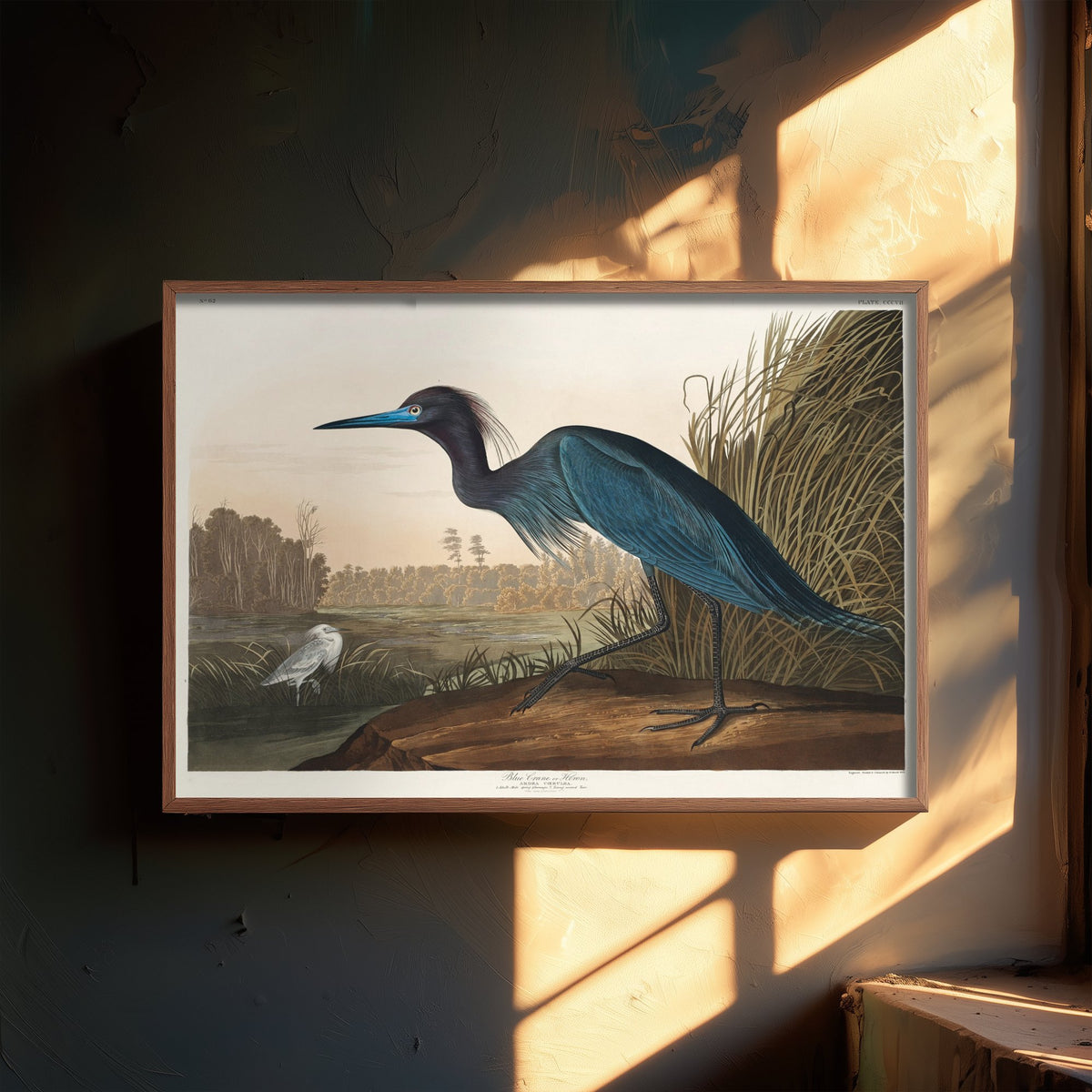 Little Blue Heron Art Print - John James Audubon Poster - Birds of America Vintage Illustration