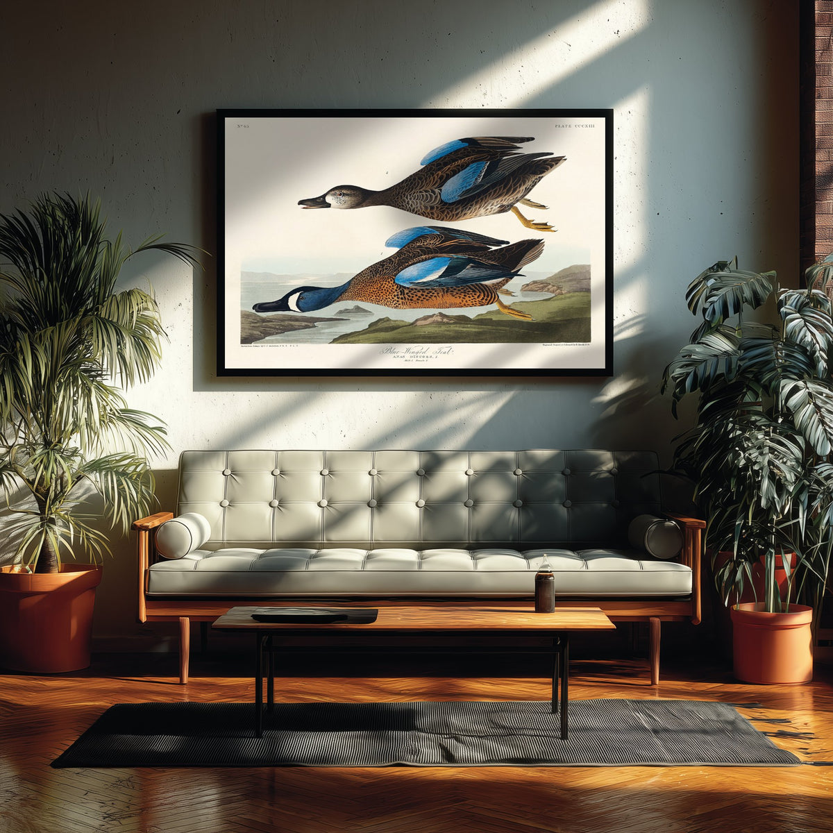 Blue-winged Teal Art Print - John James Audubon Poster - Birds of America Vintage Illustration
