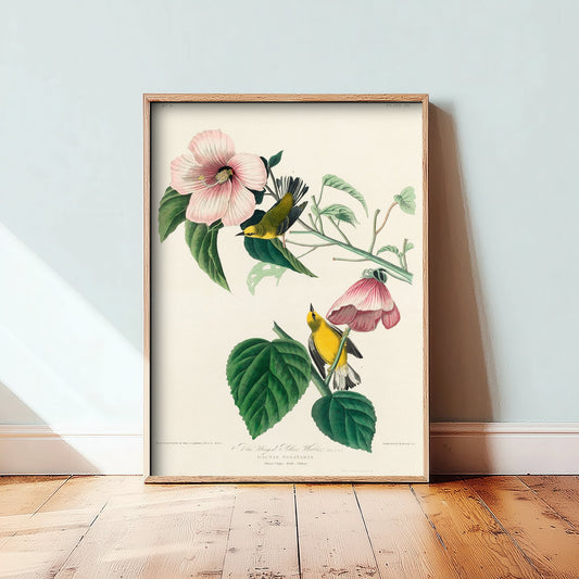 Blue-winged Warbler Art Print - John James Audubon Poster - Birds of America Vintage Illustration