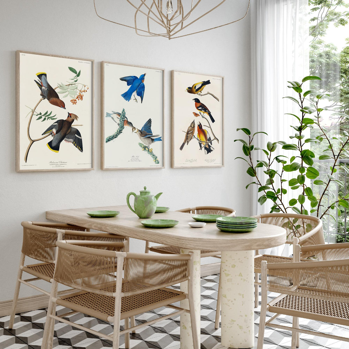 Set of Three John James Audubon Prints - Bohemian Chatterer Bluebird and Evening Grosbeak - 3 Bird Paintings Poster Wall Art