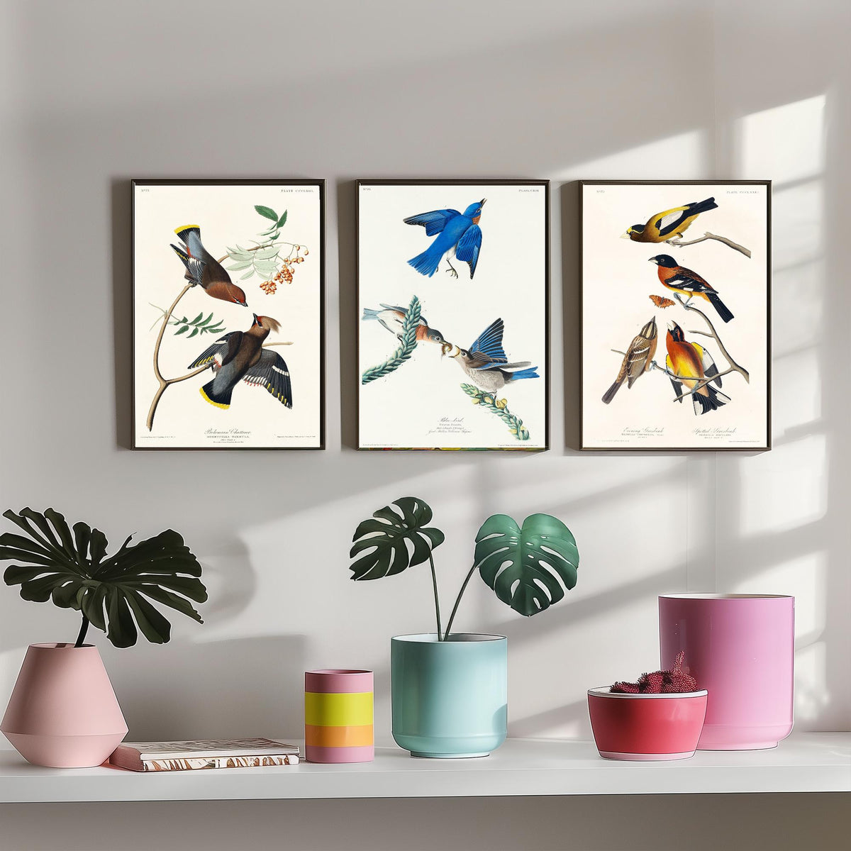 Set of Three John James Audubon Prints - Bohemian Chatterer Bluebird and Evening Grosbeak - 3 Bird Paintings Poster Wall Art