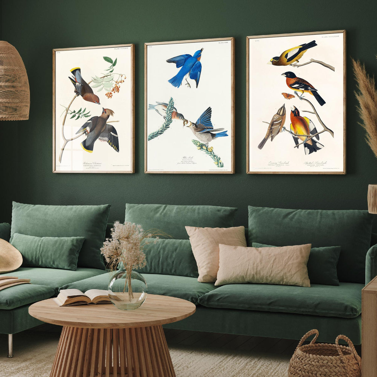 Set of Three John James Audubon Prints - Bohemian Chatterer Bluebird and Evening Grosbeak - 3 Bird Paintings Poster Wall Art