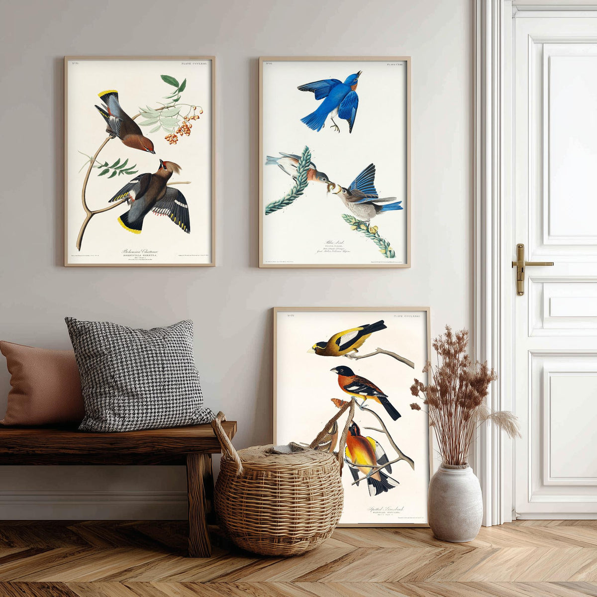 Set of Three John James Audubon Prints - Bohemian Chatterer Bluebird and Evening Grosbeak - 3 Bird Paintings Poster Wall Art