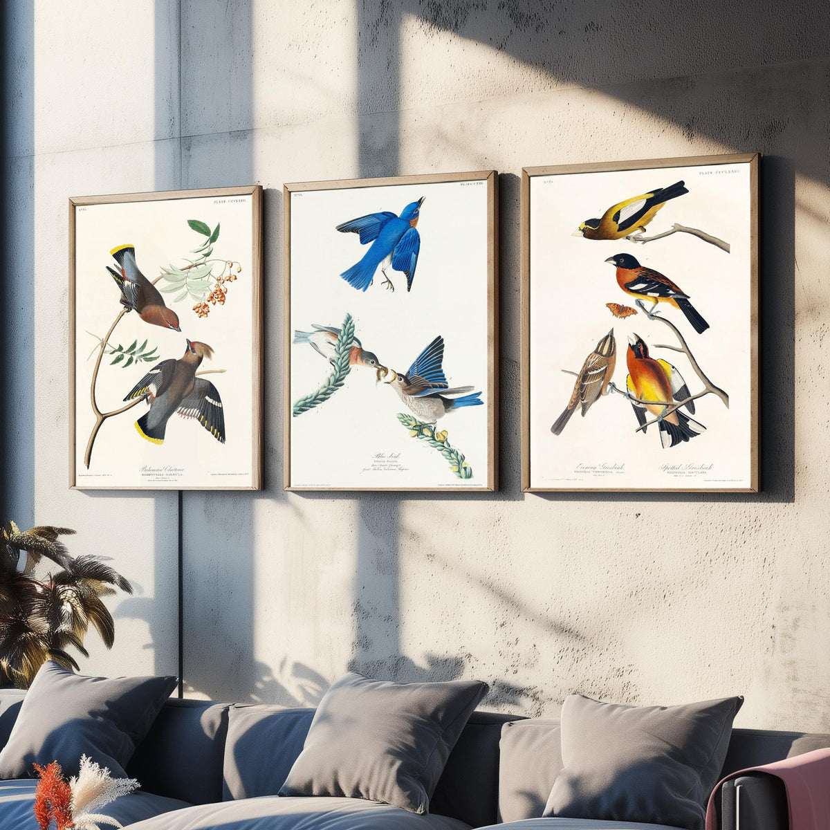 Set of Three John James Audubon Prints - Bohemian Chatterer Bluebird and Evening Grosbeak - 3 Bird Paintings Poster Wall Art