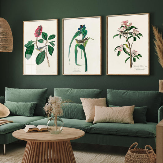Set of Three Audubon Bird Prints - Bonaparte's Flycatcher Vigors's Warbler and Cuvier's Regulus - 3 Bird Paintings Poster Wall Art