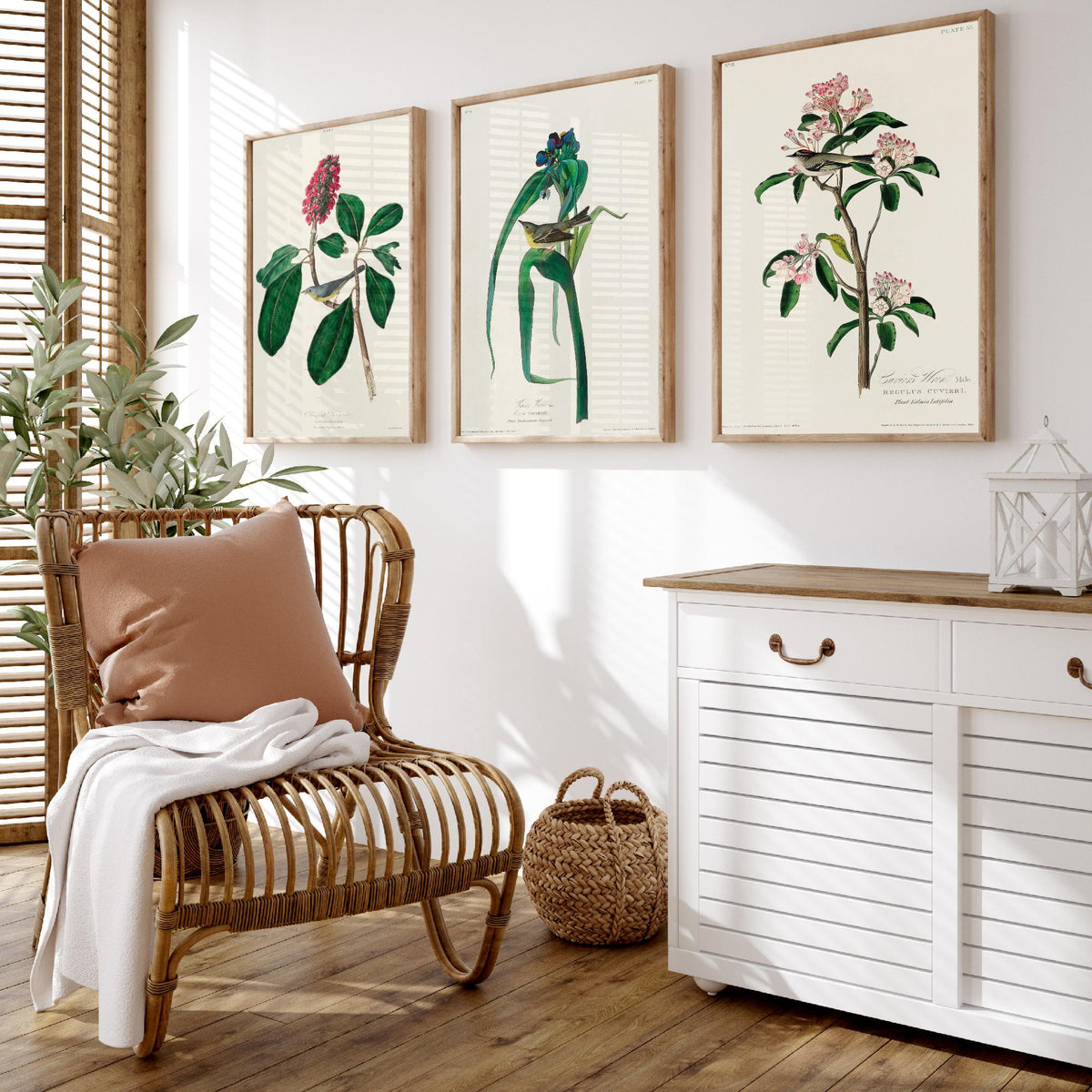 Set of Three Audubon Bird Prints - Bonaparte's Flycatcher Vigors's Warbler and Cuvier's Regulus - 3 Bird Paintings Poster Wall Art