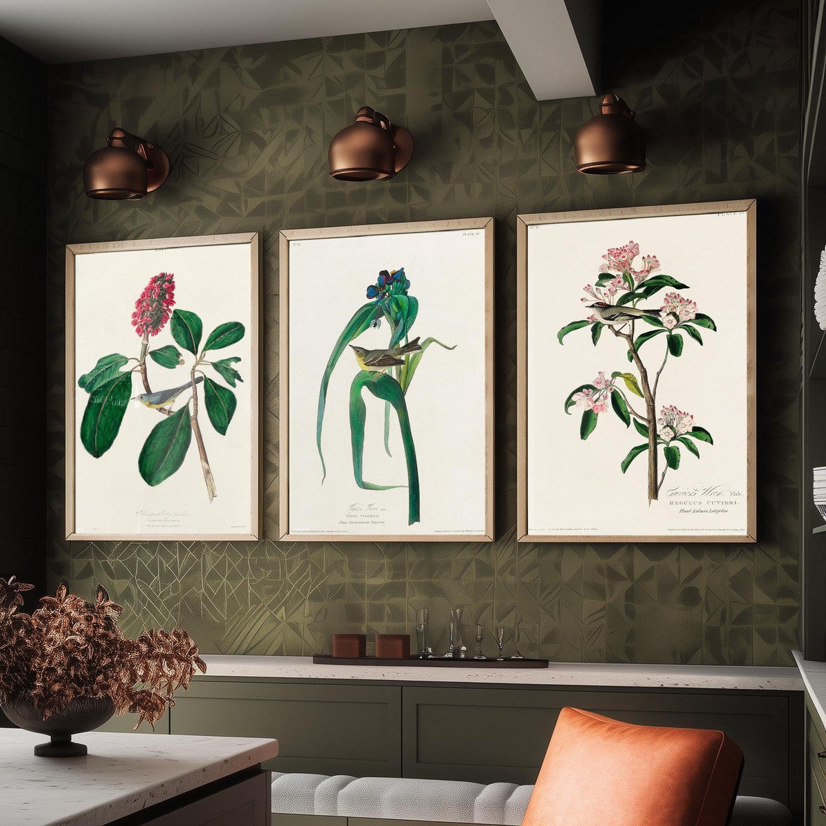 Set of Three Audubon Bird Prints - Bonaparte's Flycatcher Vigors's Warbler and Cuvier's Regulus - 3 Bird Paintings Poster Wall Art