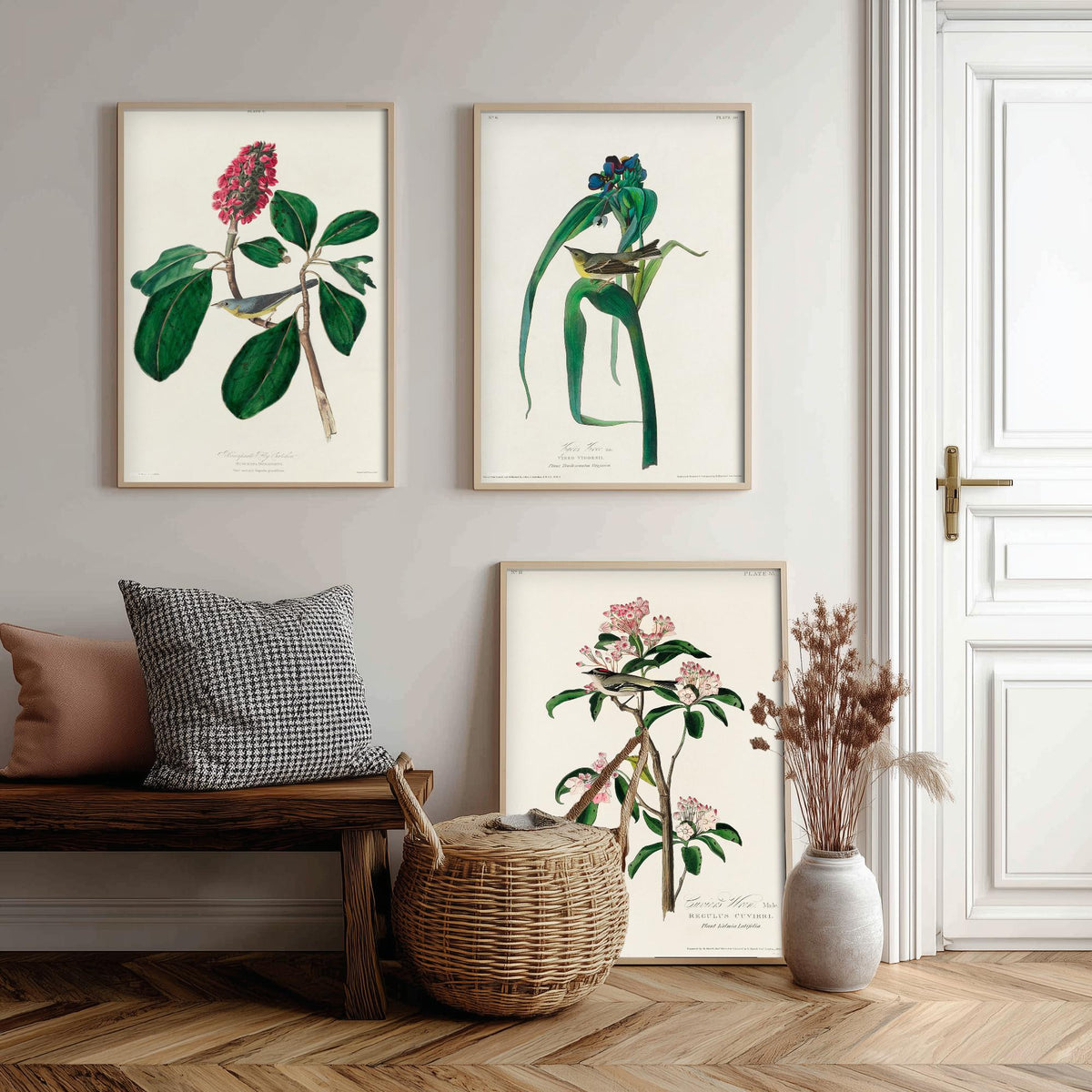 Set of Three Audubon Bird Prints - Bonaparte's Flycatcher Vigors's Warbler and Cuvier's Regulus - 3 Bird Paintings Poster Wall Art