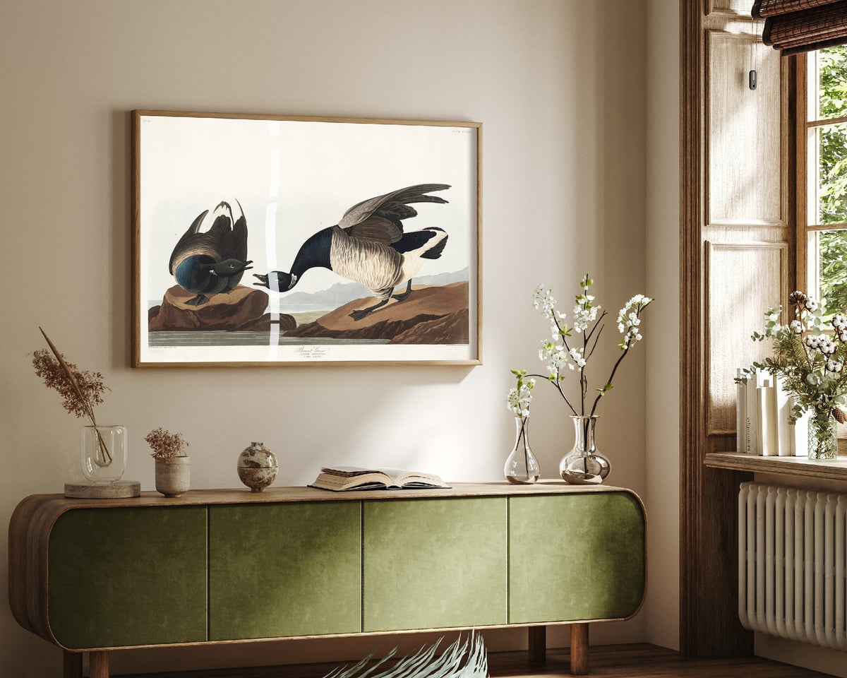 Brant Goose Art Print - John James Audubon Poster - Birds of America Vintage Illustration