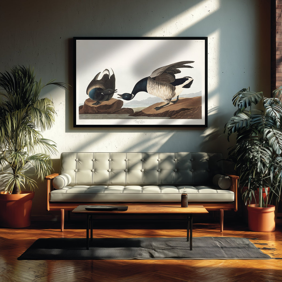 Brant Goose Art Print - John James Audubon Poster - Birds of America Vintage Illustration
