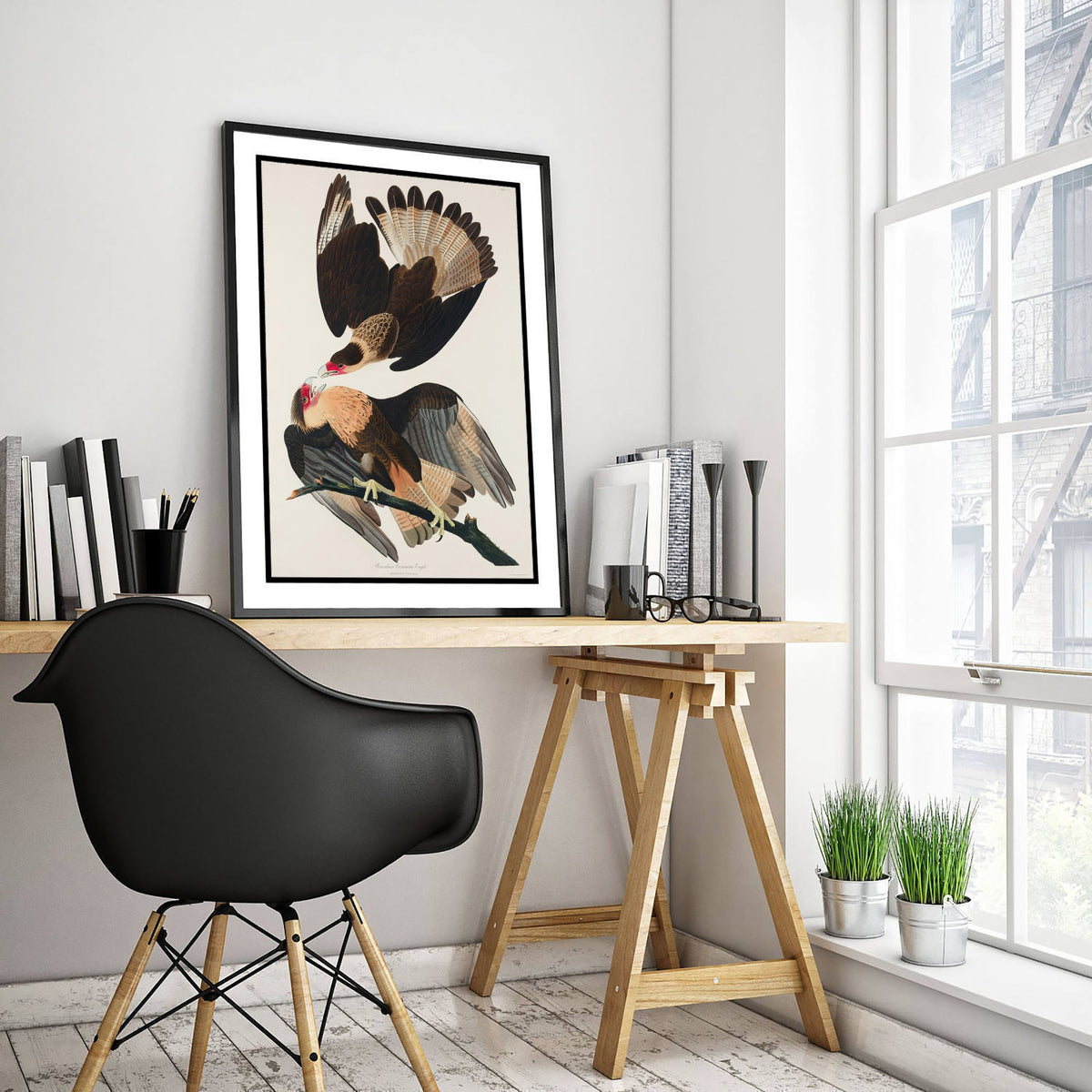 Crested Caracara Art Print - John James Audubon Poster - Birds of America Vintage Illustration