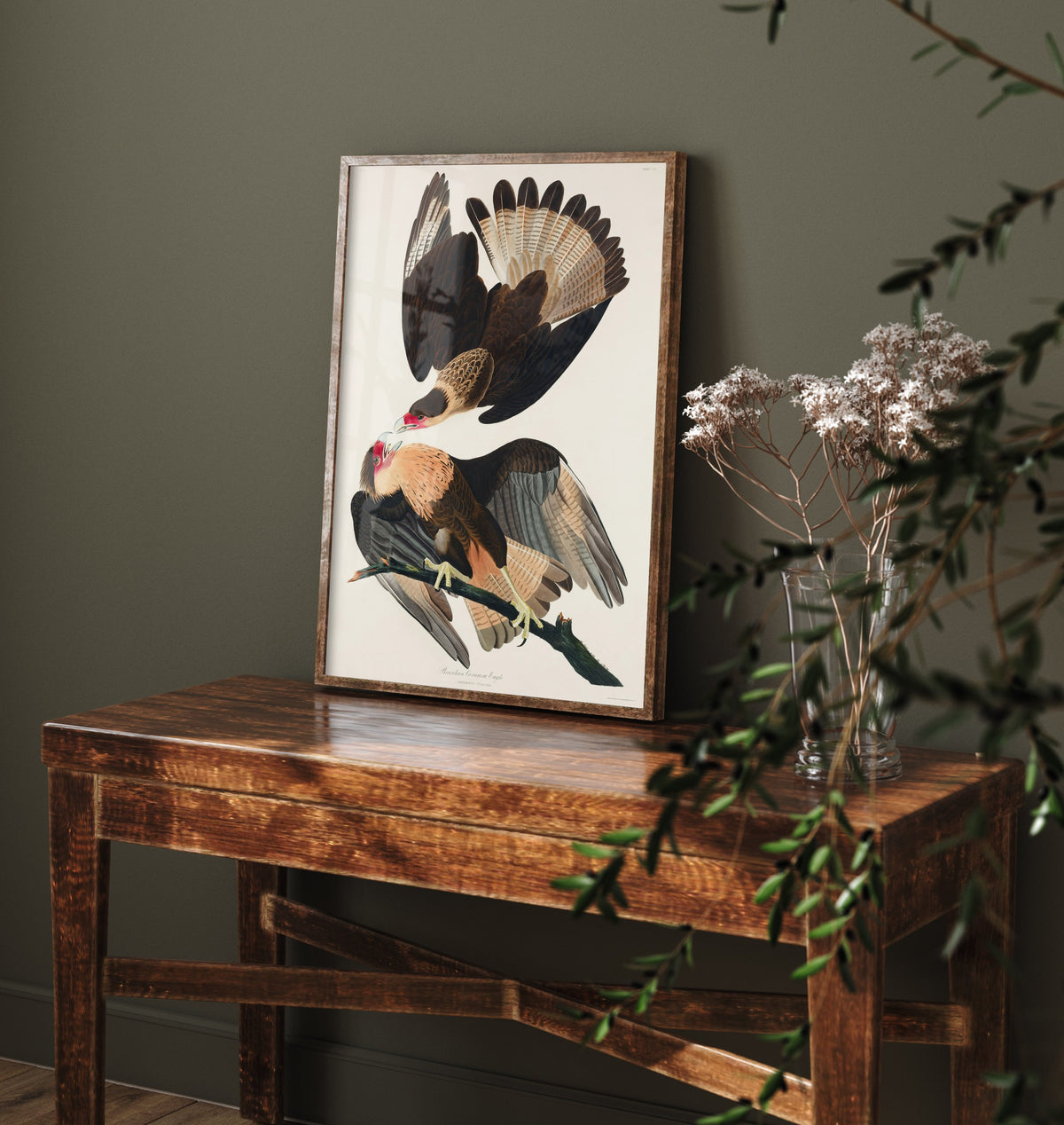 Crested Caracara Art Print - John James Audubon Poster - Birds of America Vintage Illustration