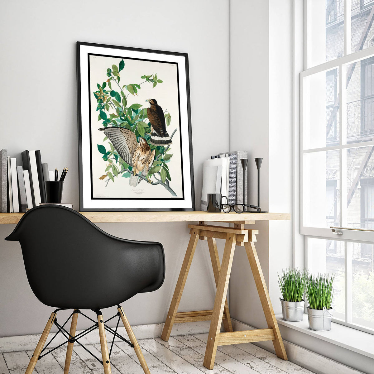 Broad-winged Hawk Art Print - John James Audubon Poster - Birds of America Vintage Illustration