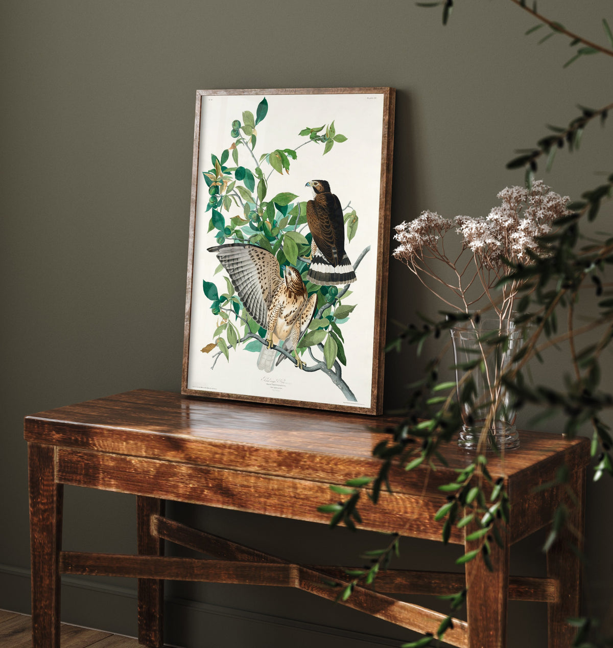 Broad-winged Hawk Art Print - John James Audubon Poster - Birds of America Vintage Illustration