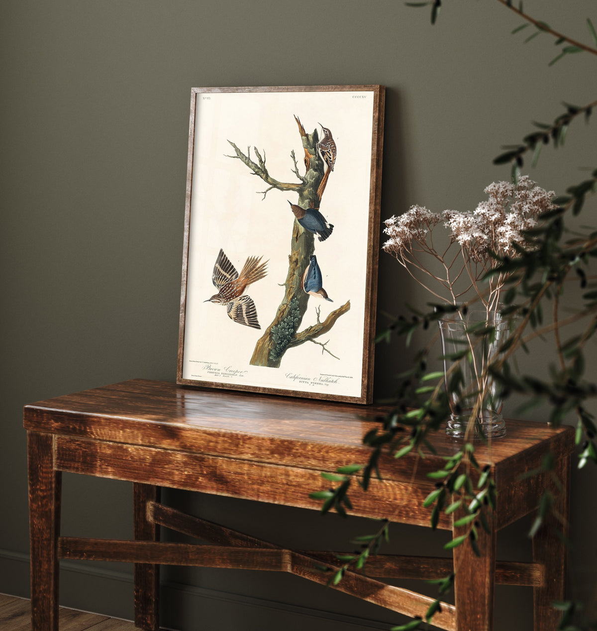 Brown Creeper Art Print - John James Audubon Poster - Birds of America Vintage Illustration