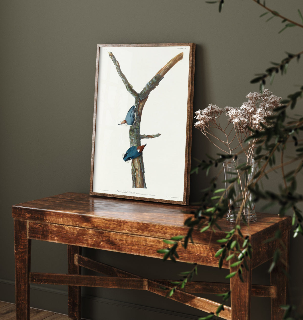 Brown-headed Nuthatch Art Print - John James Audubon Poster - Birds of America Vintage Illustration