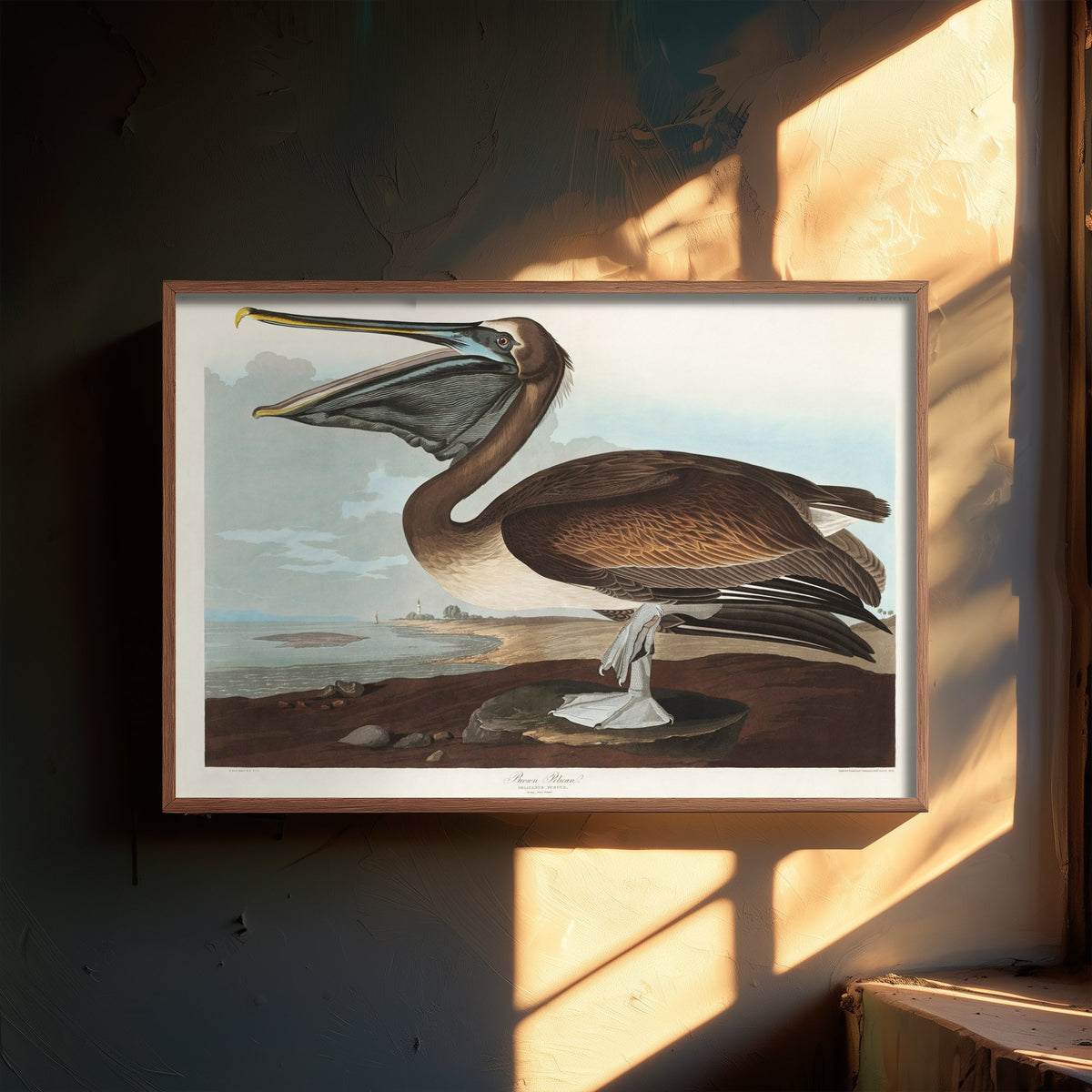 Brown Pelican Standing Art Print - John James Audubon Poster - Birds of America Coastal Illustration