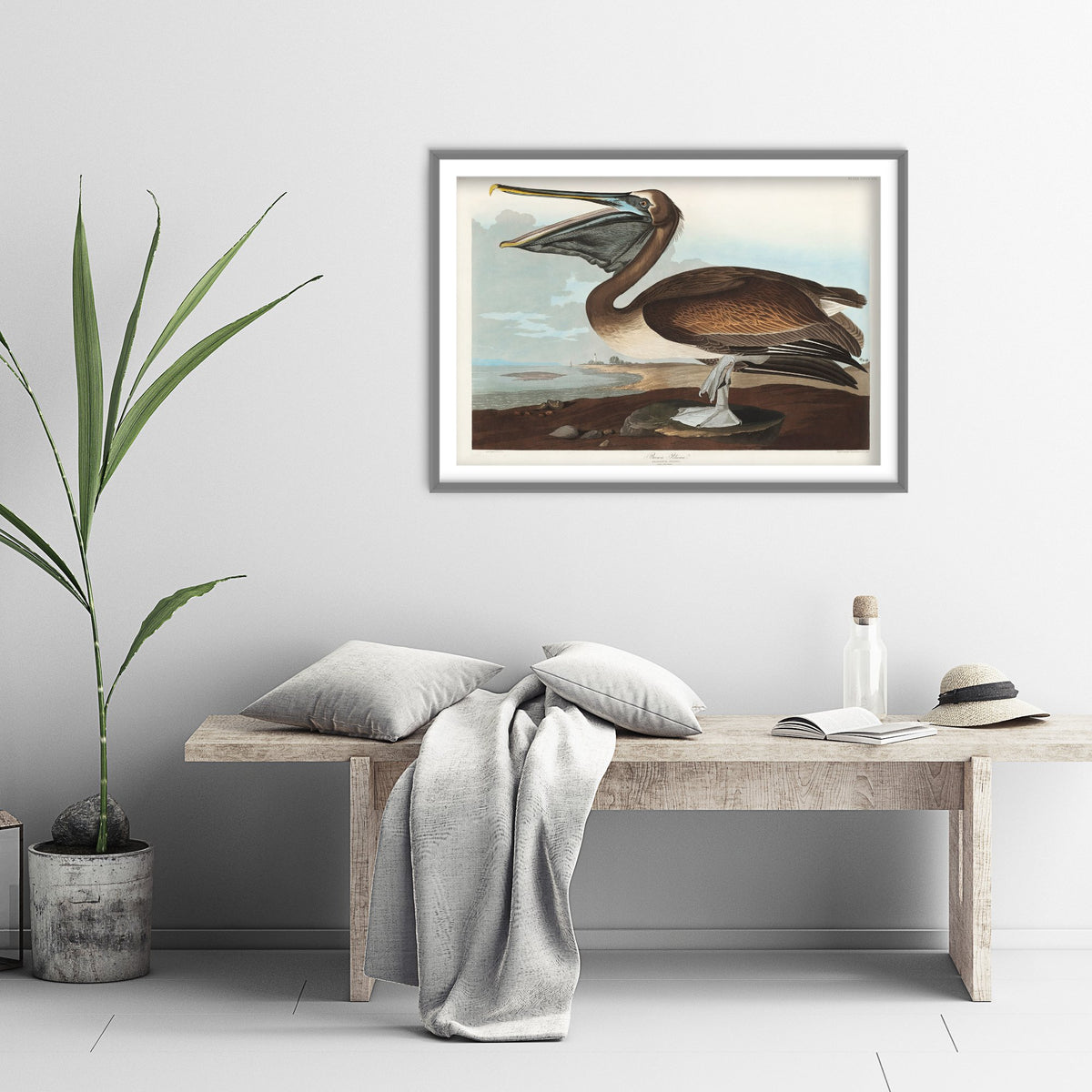 Brown Pelican Standing Art Print - John James Audubon Poster - Birds of America Coastal Illustration