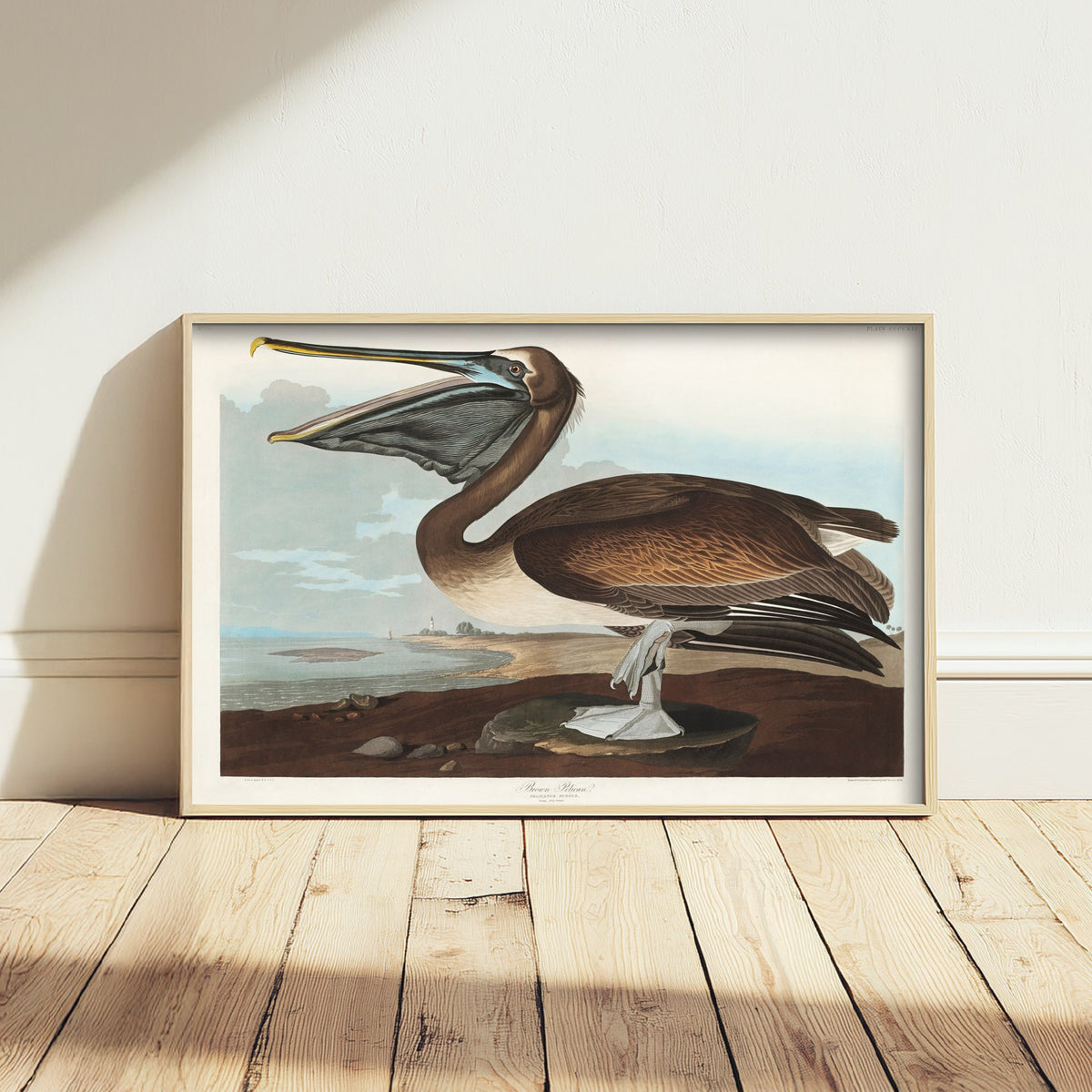 Brown Pelican Standing Art Print - John James Audubon Poster - Birds of America Coastal Illustration