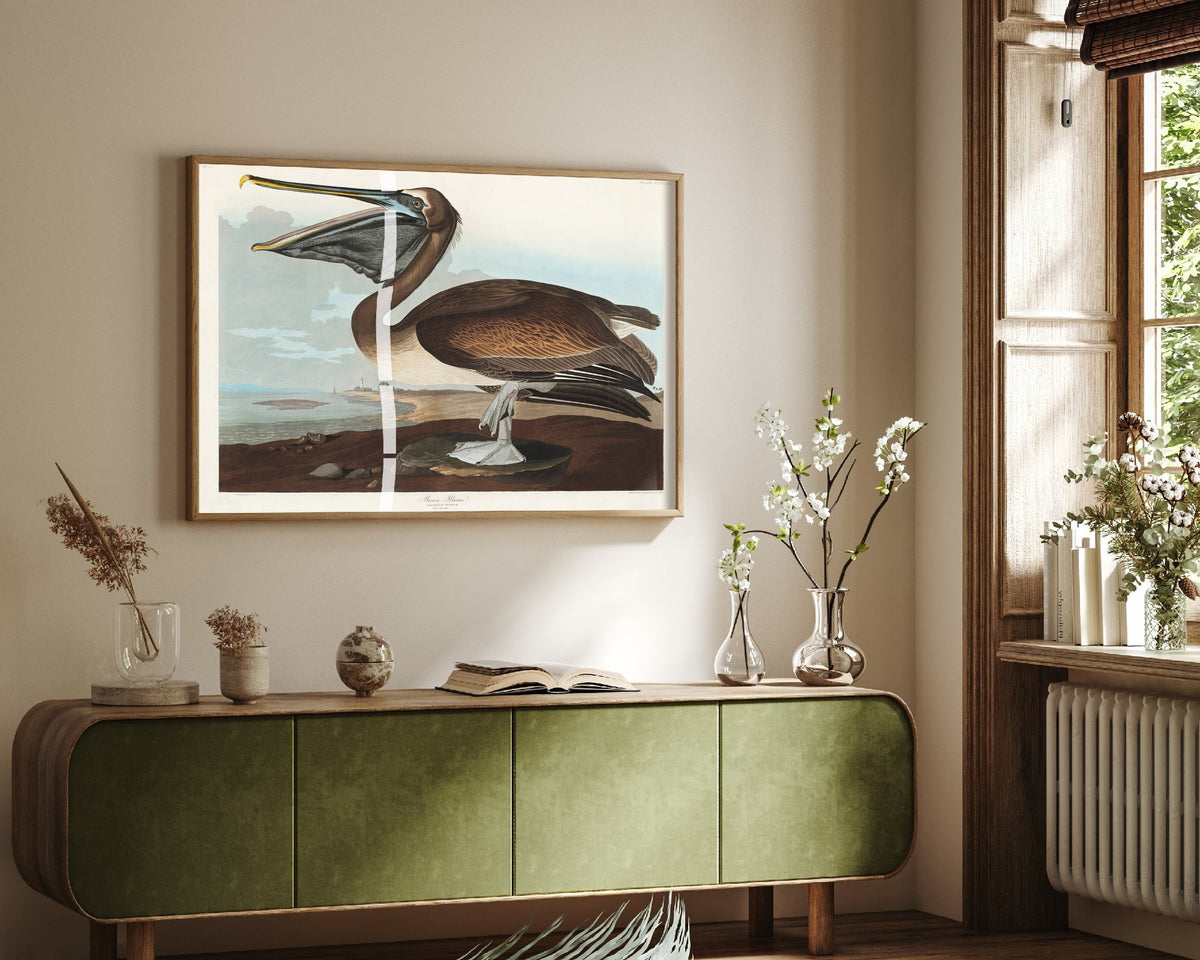 Brown Pelican Standing Art Print - John James Audubon Poster - Birds of America Coastal Illustration