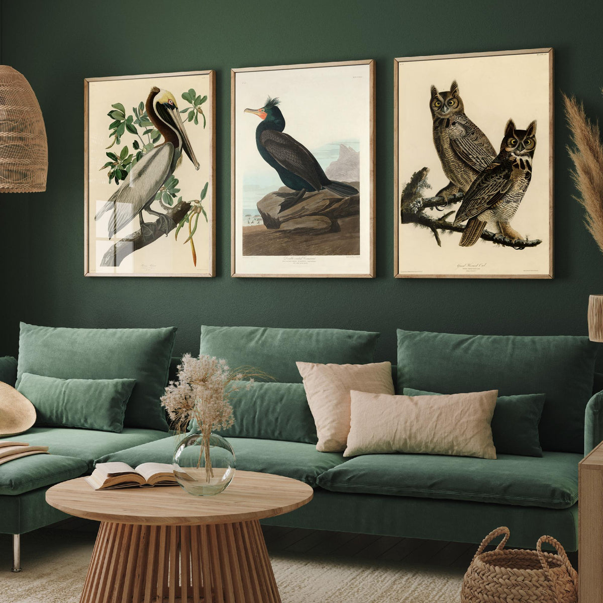 John James Audubon Set of Three Art Prints - Brown Pelican, Double Crested Cormorant, Great Horned Owl - Illustration Poster V3