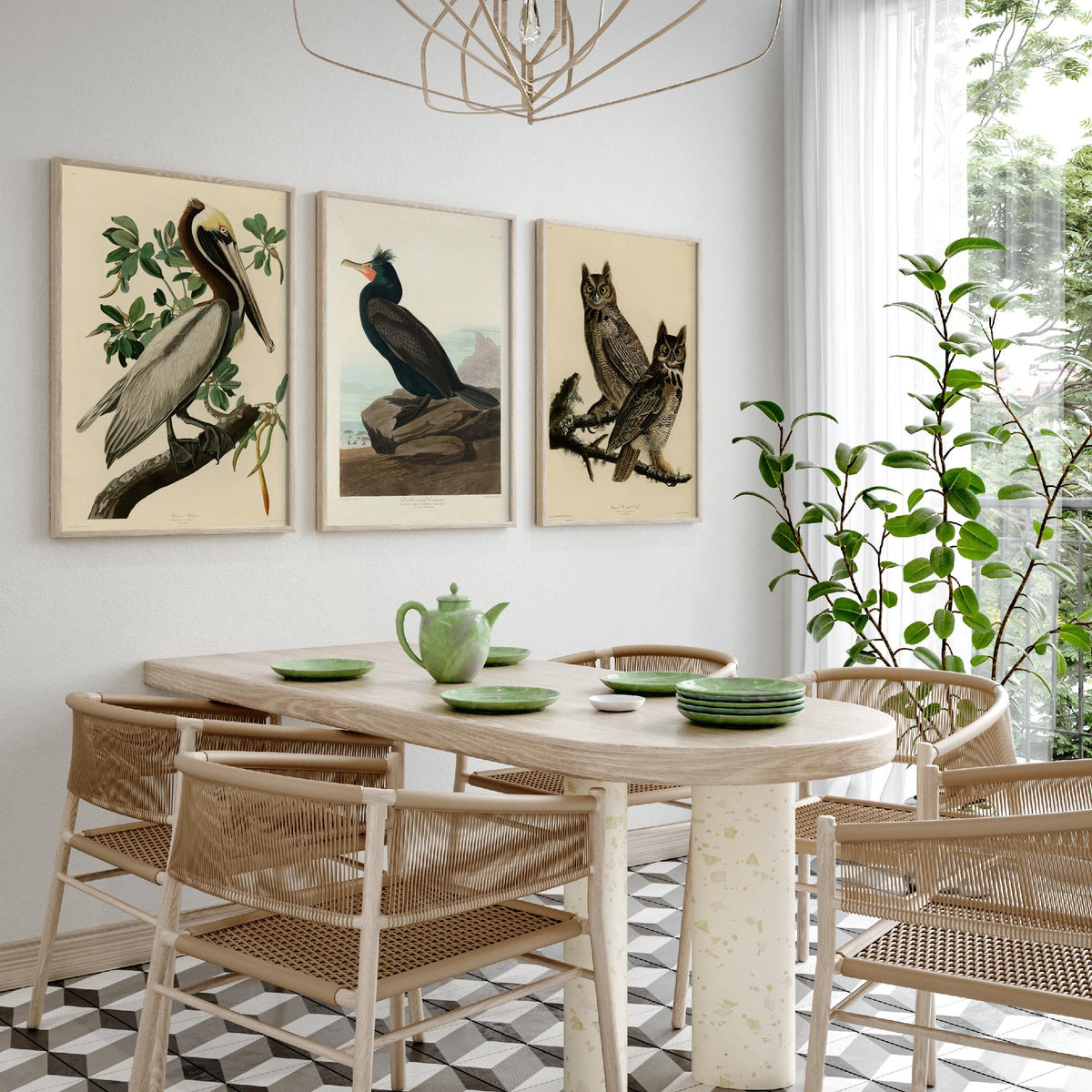 John James Audubon Set of Three Art Prints - Brown Pelican, Double Crested Cormorant, Great Horned Owl - Illustration Poster V3