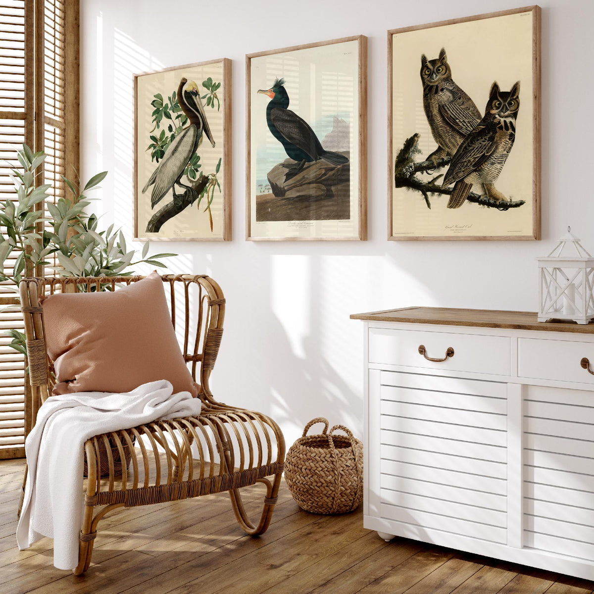 John James Audubon Set of Three Art Prints - Brown Pelican, Double Crested Cormorant, Great Horned Owl - Illustration Poster V3