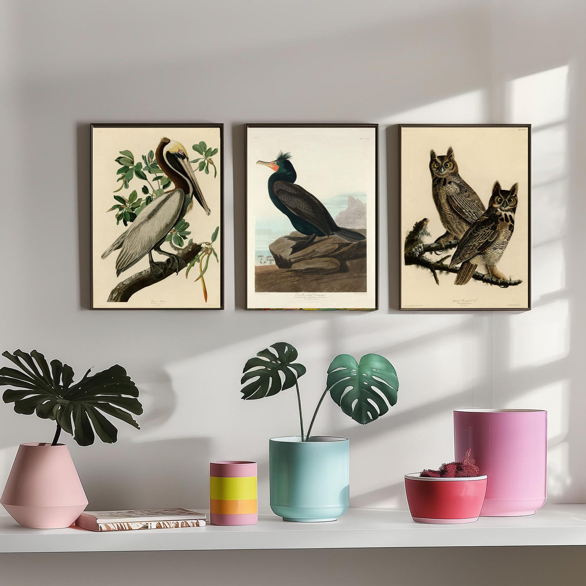 John James Audubon Set of Three Art Prints - Brown Pelican, Double Crested Cormorant, Great Horned Owl - Illustration Poster V3