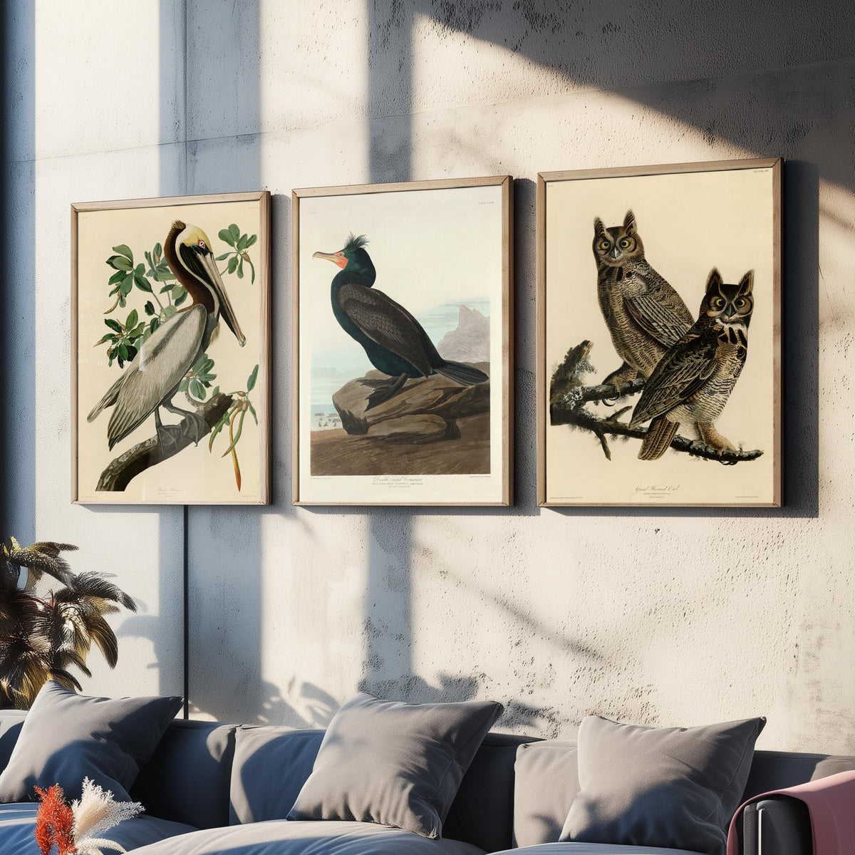 John James Audubon Set of Three Art Prints - Brown Pelican, Double Crested Cormorant, Great Horned Owl - Illustration Poster V3