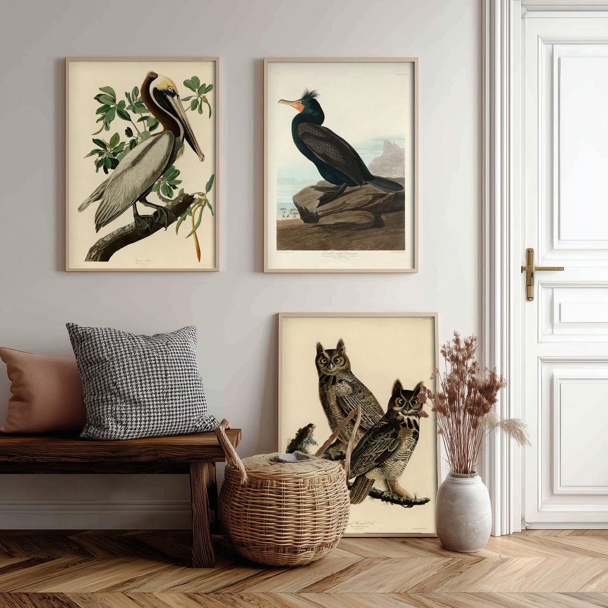 John James Audubon Set of Three Art Prints - Brown Pelican, Double Crested Cormorant, Great Horned Owl - Illustration Poster V3