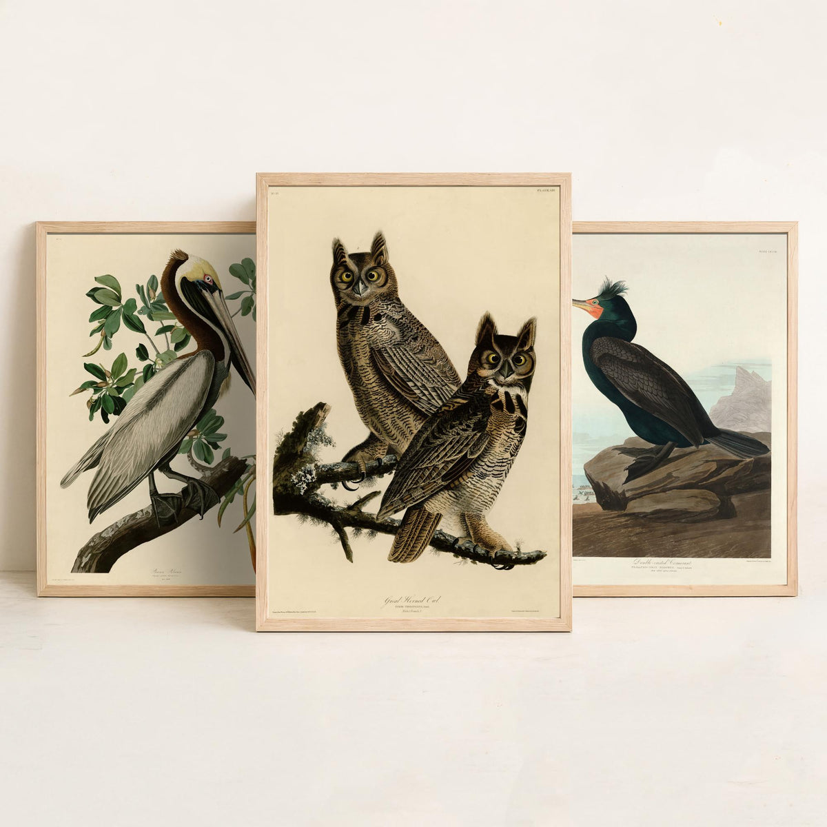 John James Audubon Set of Three Art Prints - Brown Pelican, Double Crested Cormorant, Great Horned Owl - Illustration Poster V3