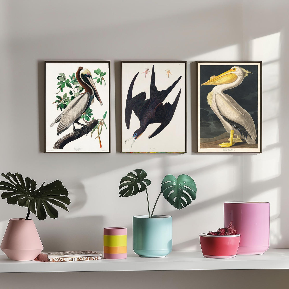 Set of Three John James Audubon Prints - Brown Pelican Frigatebird and American White Pelican - 3 Bird Paintings Poster Wall Art
