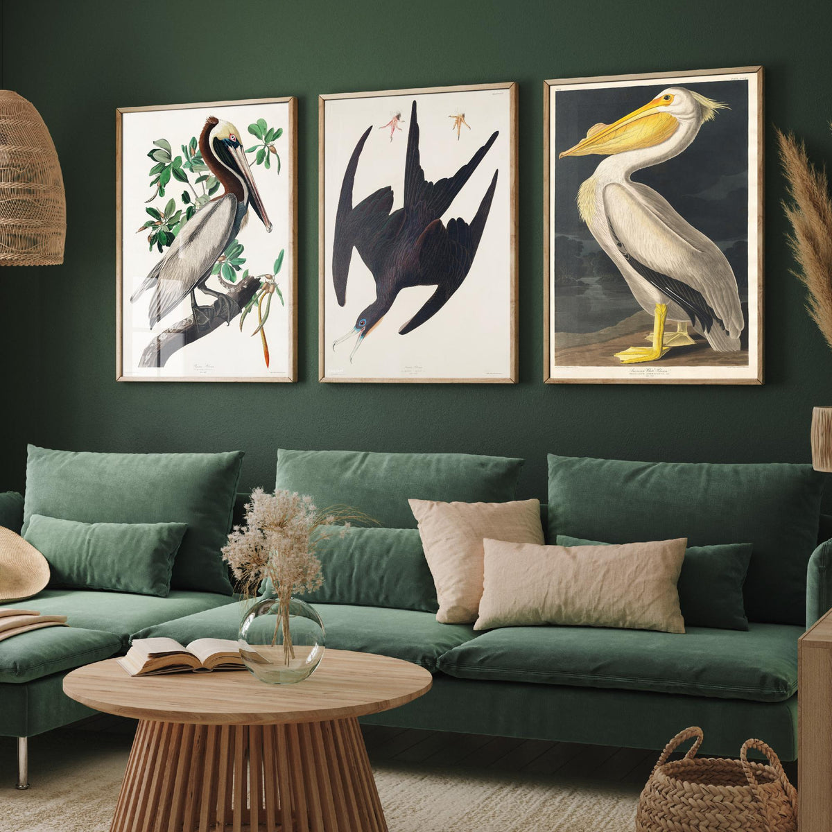 Set of Three John James Audubon Prints - Brown Pelican Frigatebird and American White Pelican - 3 Bird Paintings Poster Wall Art